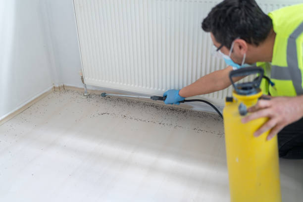 Professional Pest Control in George, IA